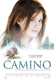 Путь — Камино / Camino